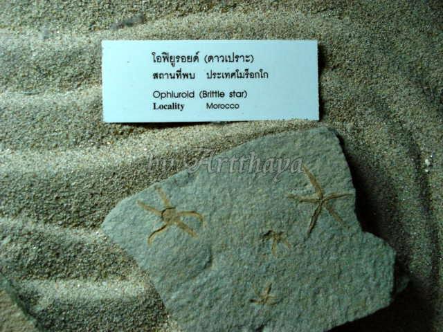 Museum23.JPG